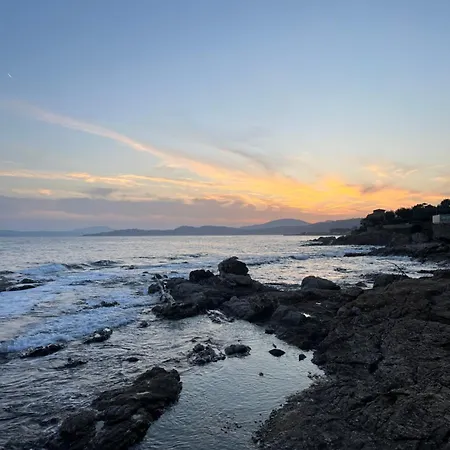 Lavande * 생트막시메